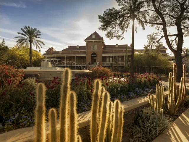 A historic brick building stands behind a garden filled with blooming red and purple flowers, tall cacti, and a fountain spraying arcs of water. Palm trees frame the scene as warm late-afternoon sunlight casts long shadows across the walkway.