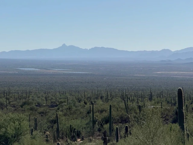 a midday, sunny view of a desert landscape with saguaros and distant ponds and a mountain ridgeline in the background 