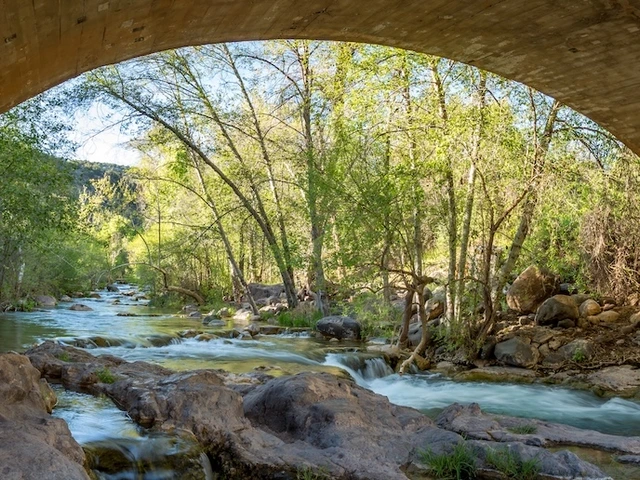 Fossil Creek