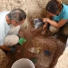archaeologists crouching in a hole in the ground and digging around artifacts buried in the ground