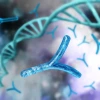 Chromosomes