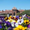 Old Main on the University of Arizona campus in the background of flowers.