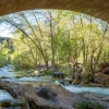 Fossil Creek
